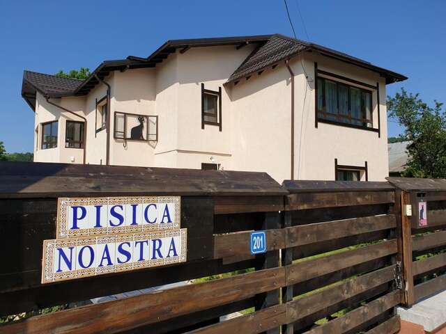 Гостевой дом Casa Pisica Noastra Бряза-18